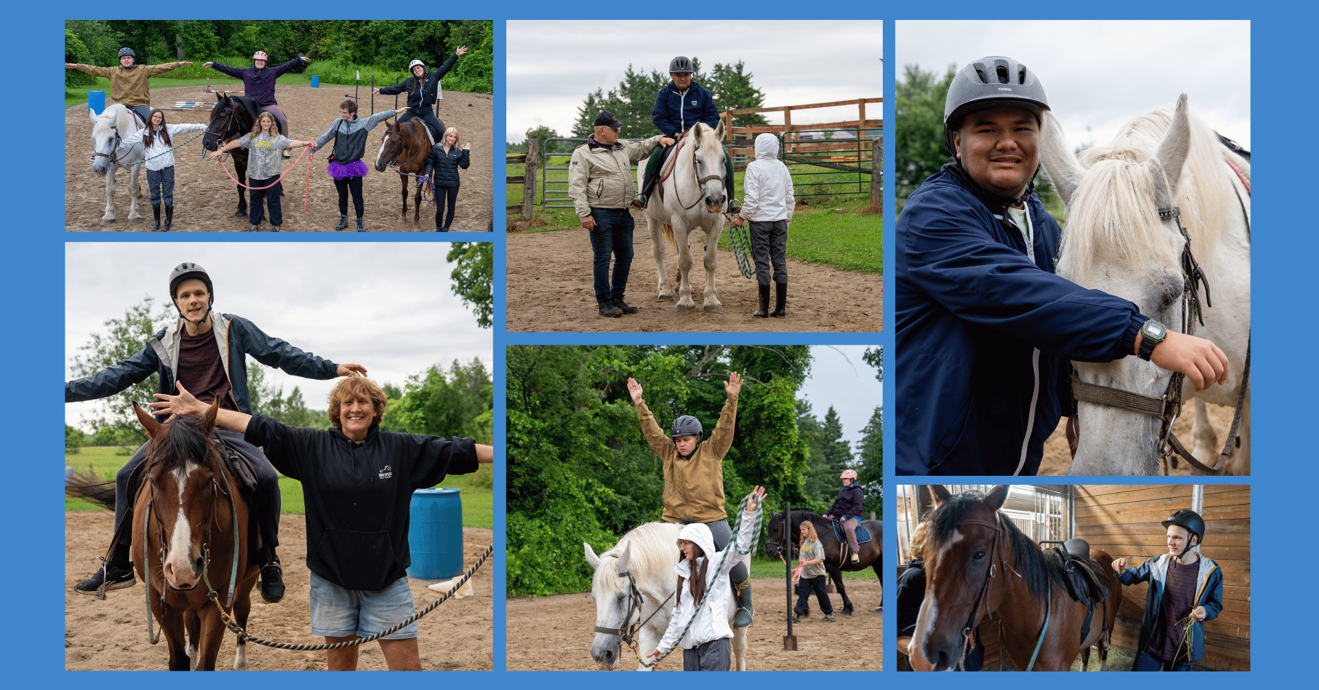 Taking the Reins: Building Confidence at the Barn